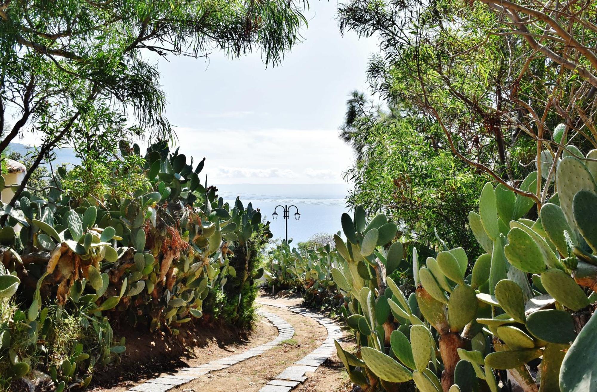Calabria Beach Villa'S Capo Vaticano Kültér fotó